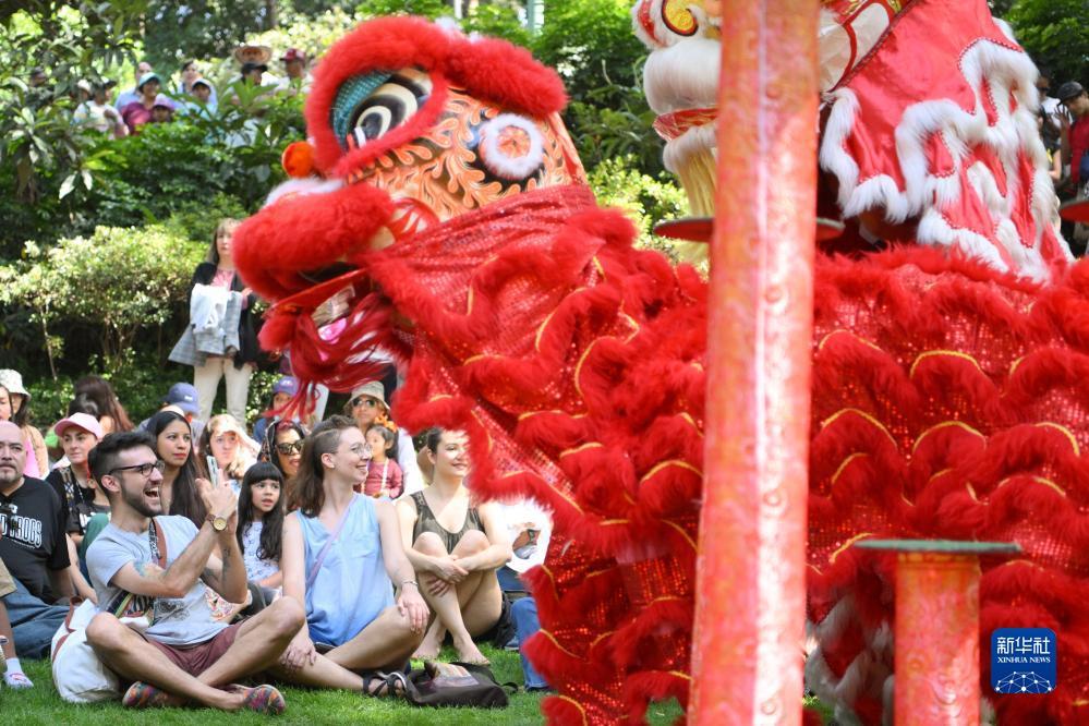 澳门最大平台